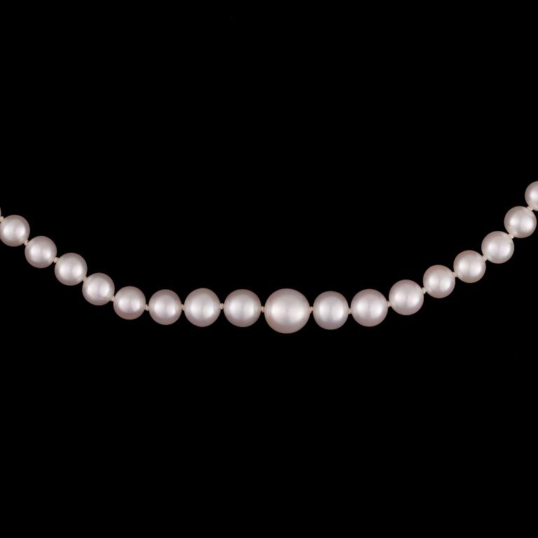 PÄRLCOLLIER, graderade sötvattenspärlor, lås i 14K guld.