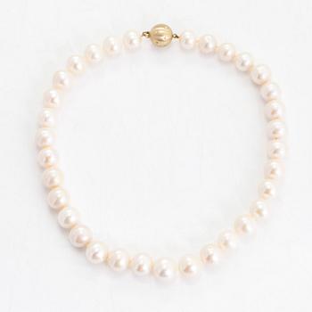A cultured pearl necklace, clasp in 14K gold with diamonds ca 0.12 ct in total.