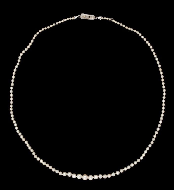 A natural pearl necklace, 1930's.
