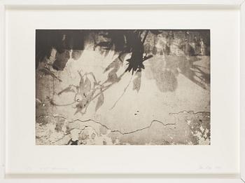 Janne Laine, heliograph and aquatint, signed and dated 2006, numbered 3/32.