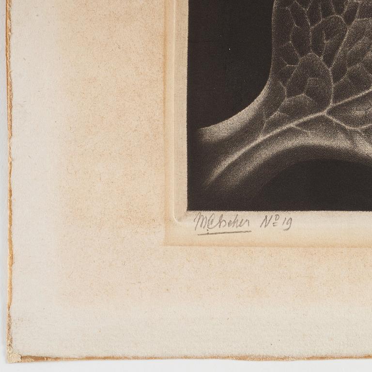 Maurits Cornelis Escher, ”Drop (Dewdrop)”.