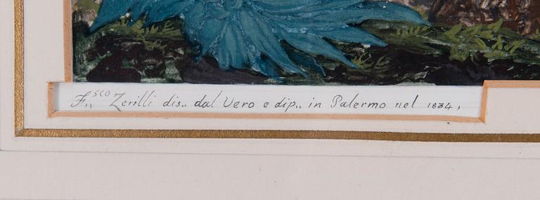 Francesco Zerilli, PANORAMA ÖVER PALERMO.