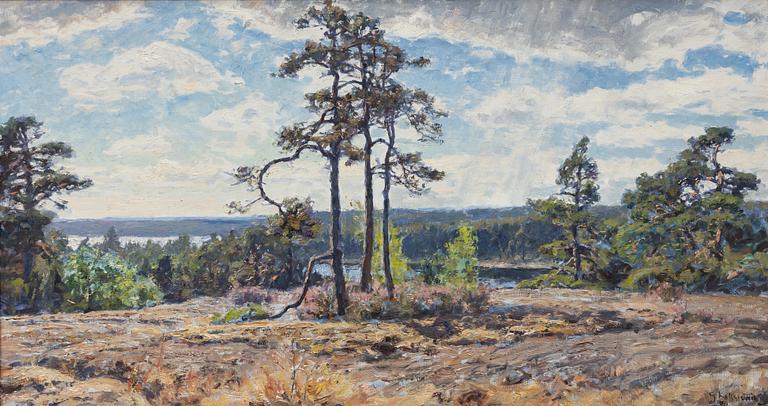 Gottfrid Kallstenius,.