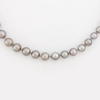 Cultured Tahiti pearl necklace.