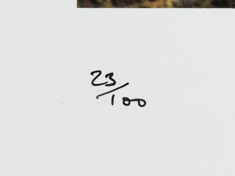 Cornelia Parker, "Wake up!", 2008.