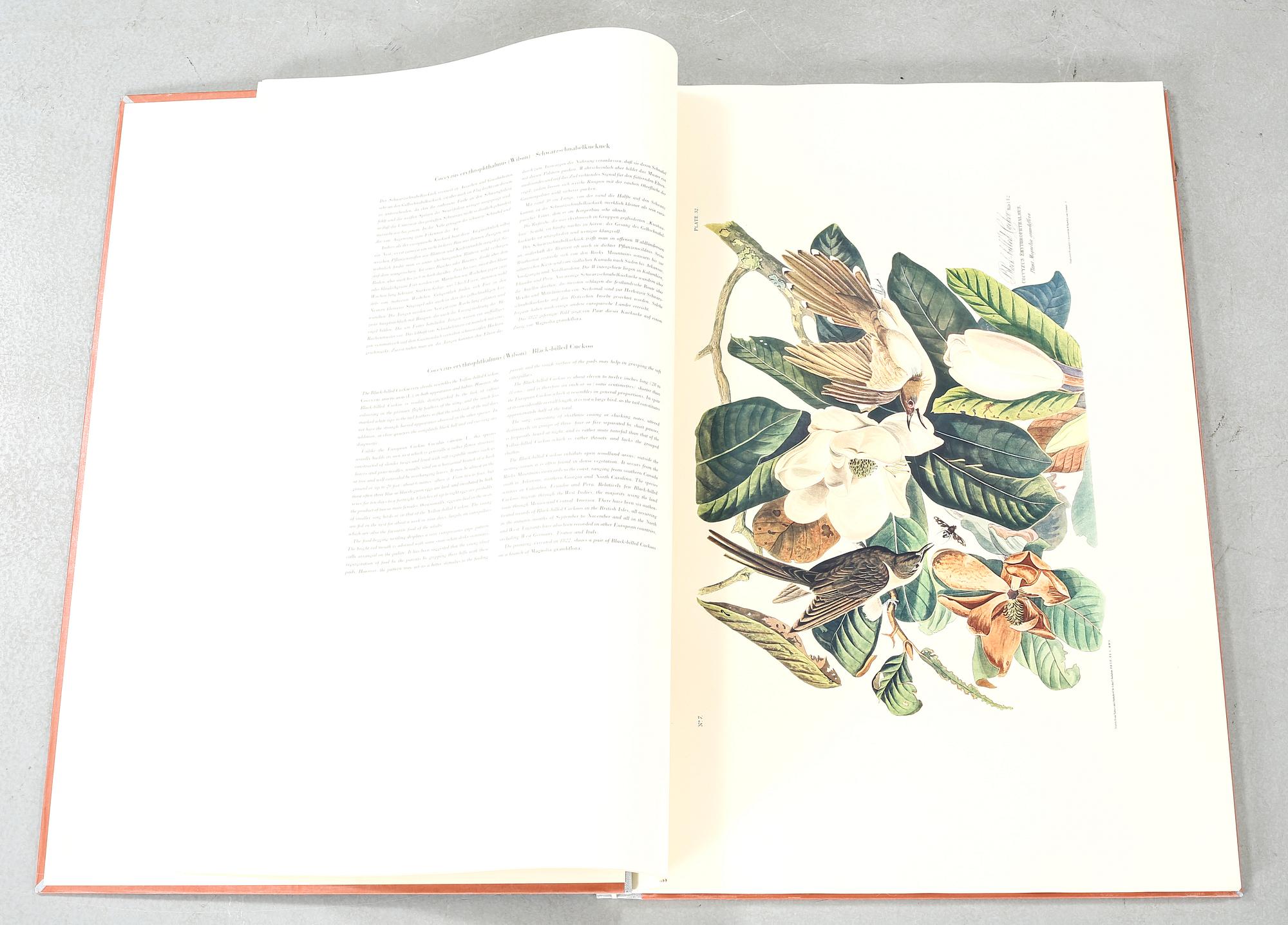 The book "The Birds of America", volume II, by John James Audubon, numbered 178/500, 1973.