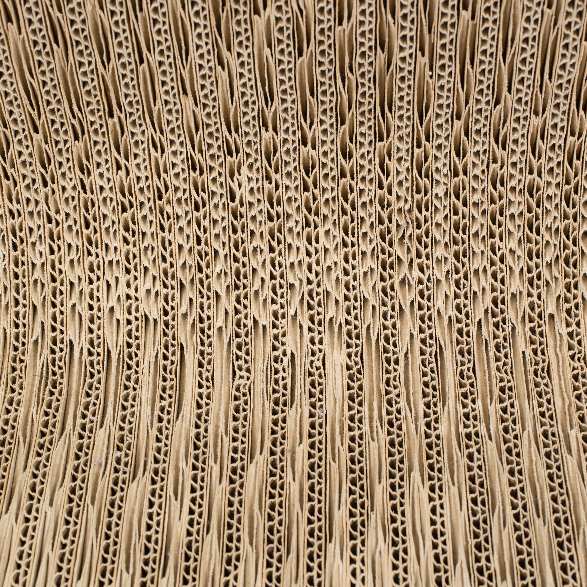 A 21 th century Frank O. Gehry "Wiggle Side Chair" for Vitra, Germany.