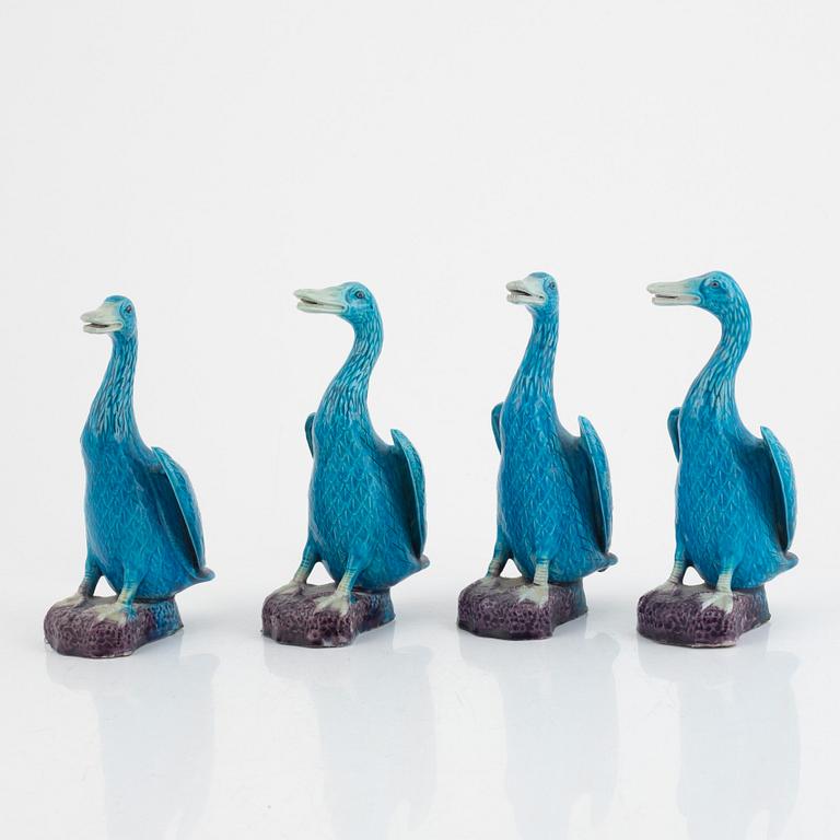 Four turquoise Chinese porcelain duck figurines, late Qing dynasty / around 1900.