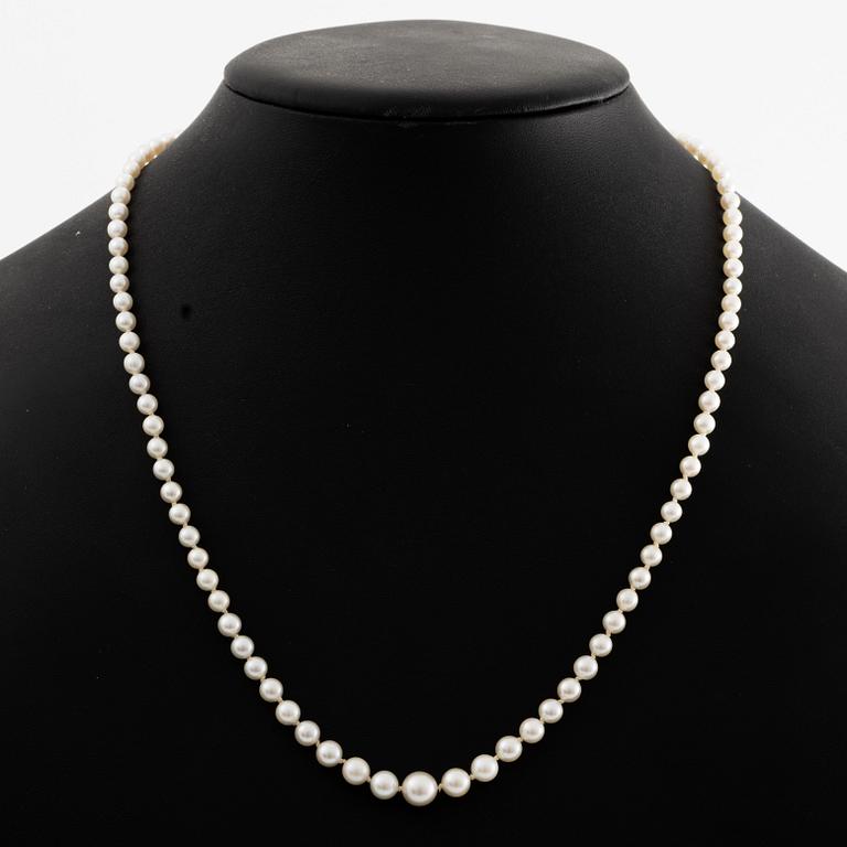 A necklace of cultured pearls clasp with old-cut diamonds.