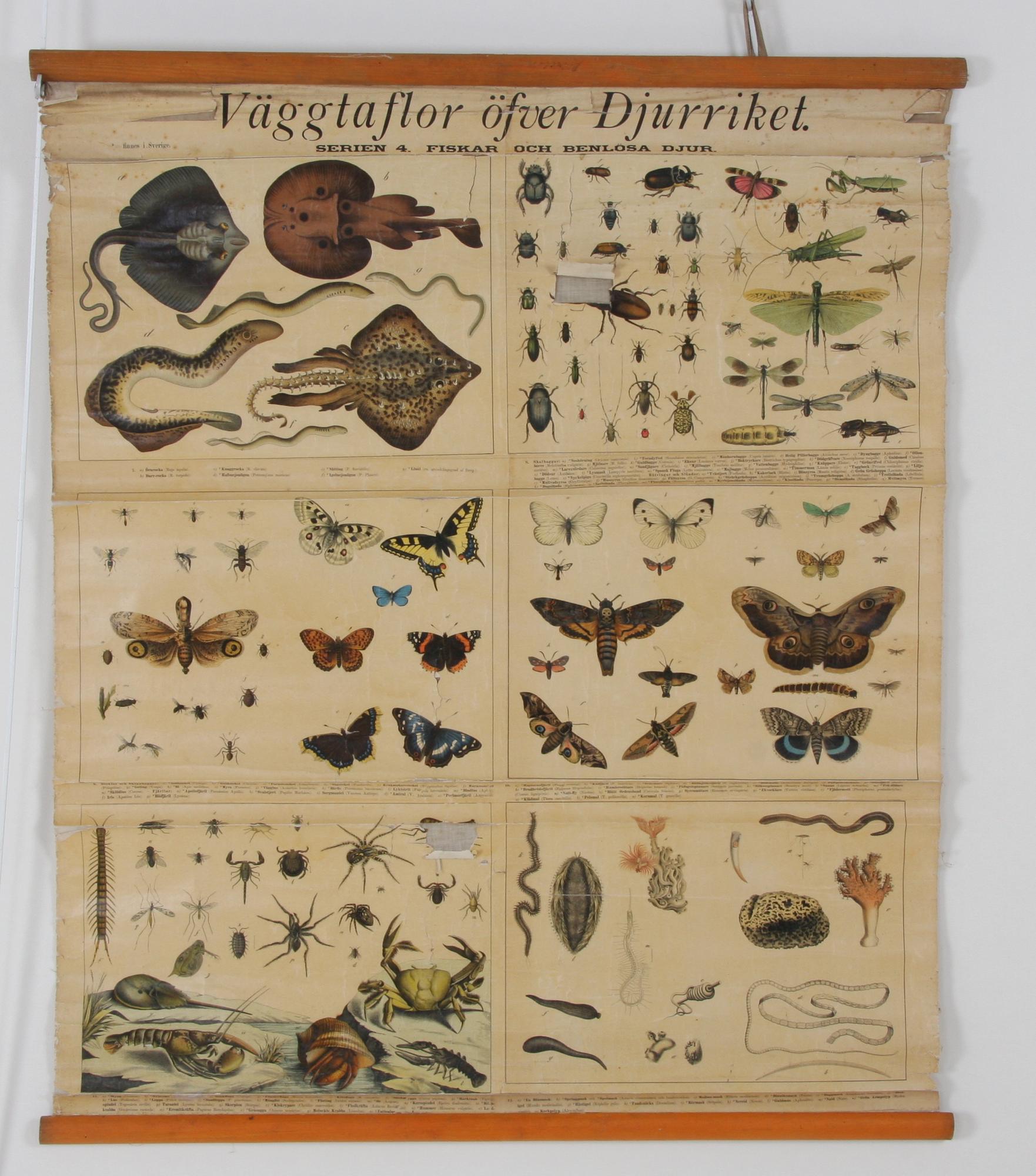 SKOLPLANSCH, tryckt 1915.