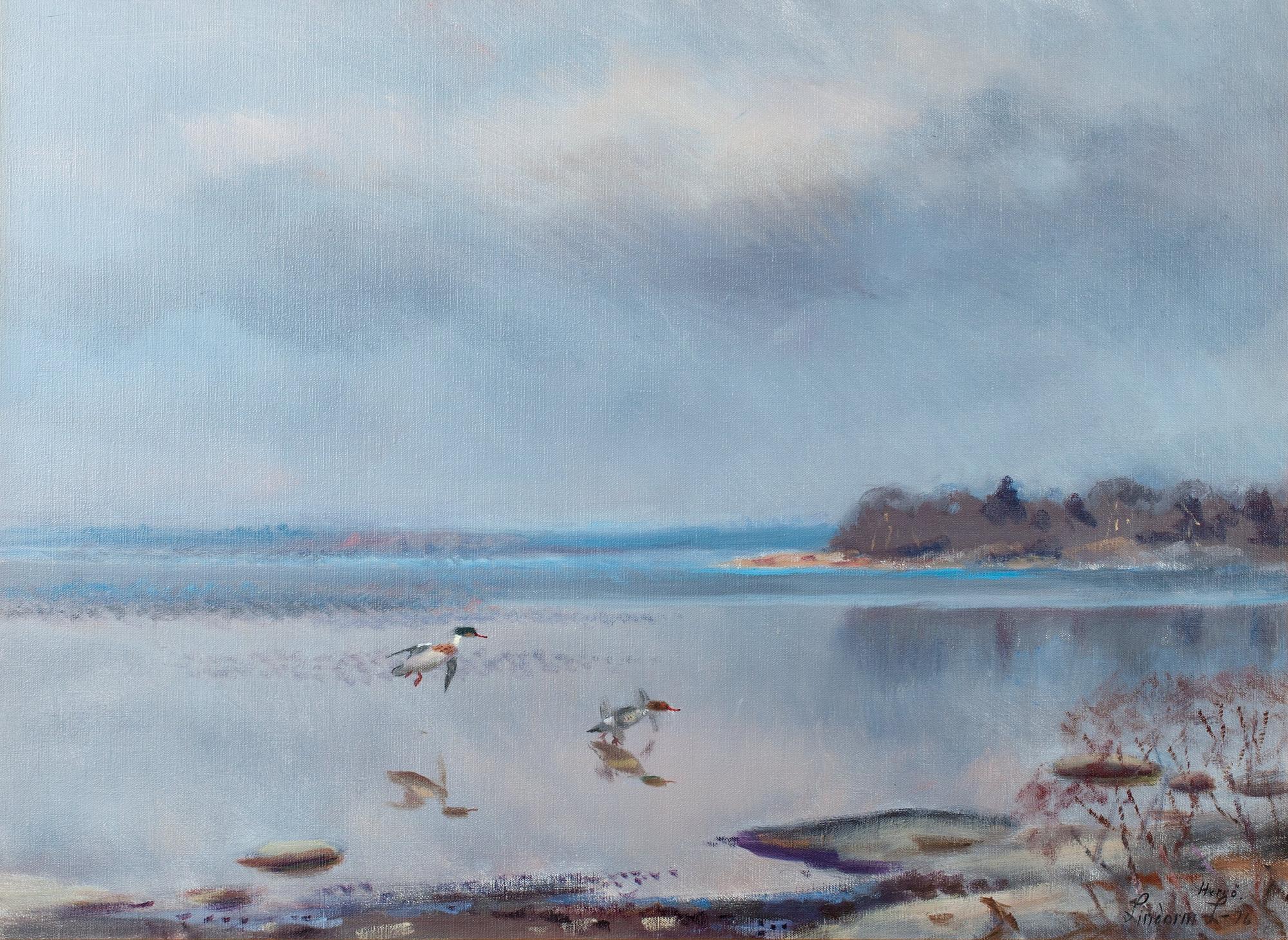 Lindorm Liljefors, BIRDS BY THE SHORE, ÅLAND.