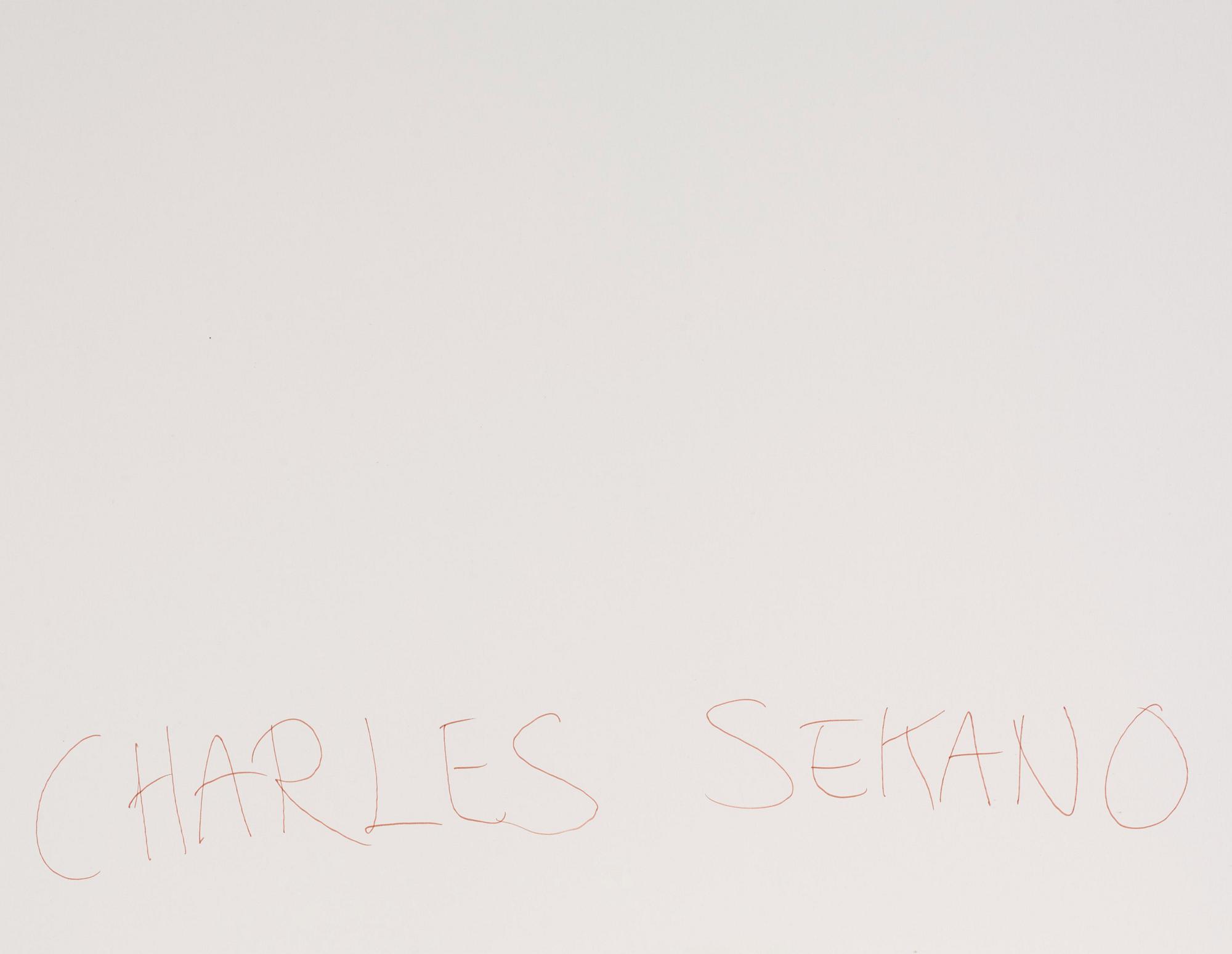 Charles Sekano, 'Combination'.