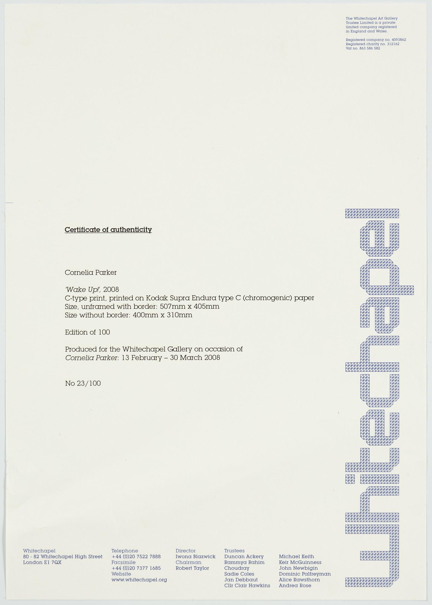 Cornelia Parker, "Wake up!", 2008.