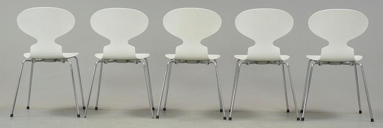 STOLAR, 5 st, "Myran", Arne Jacobsen, Fritz hansen, Danmark, 1900-talets slut.