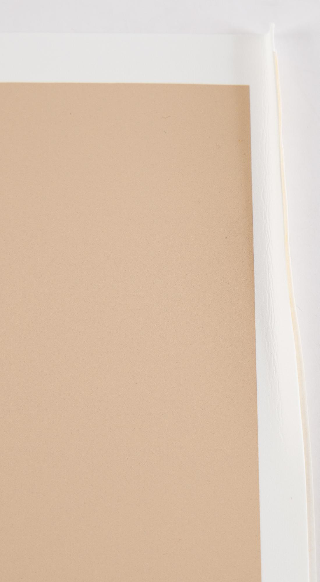 Victor Vasarely, mapp med 5 serigrafier, signerade 99/150.