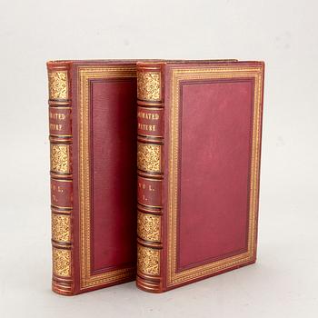 OLIVER GOLDSMITH 'A History of The Earth and Animated Nature' I-II, hand colored plates, c 1870.