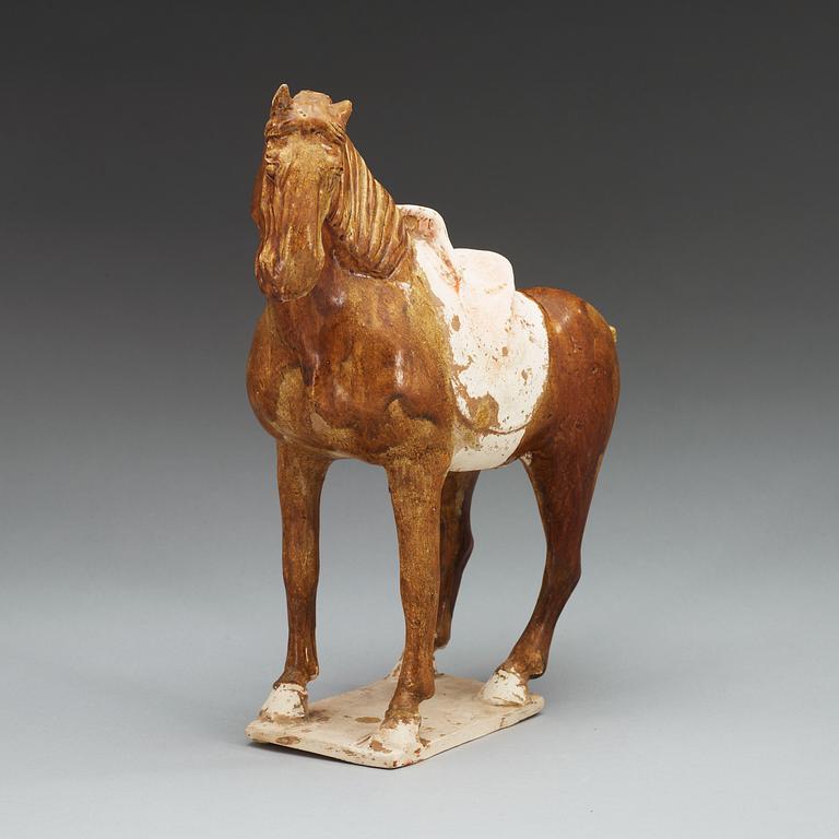 A potted figure of a horse, Tang dynasty (618-907).