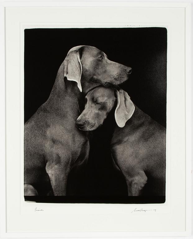 William Wegman, "Friends".