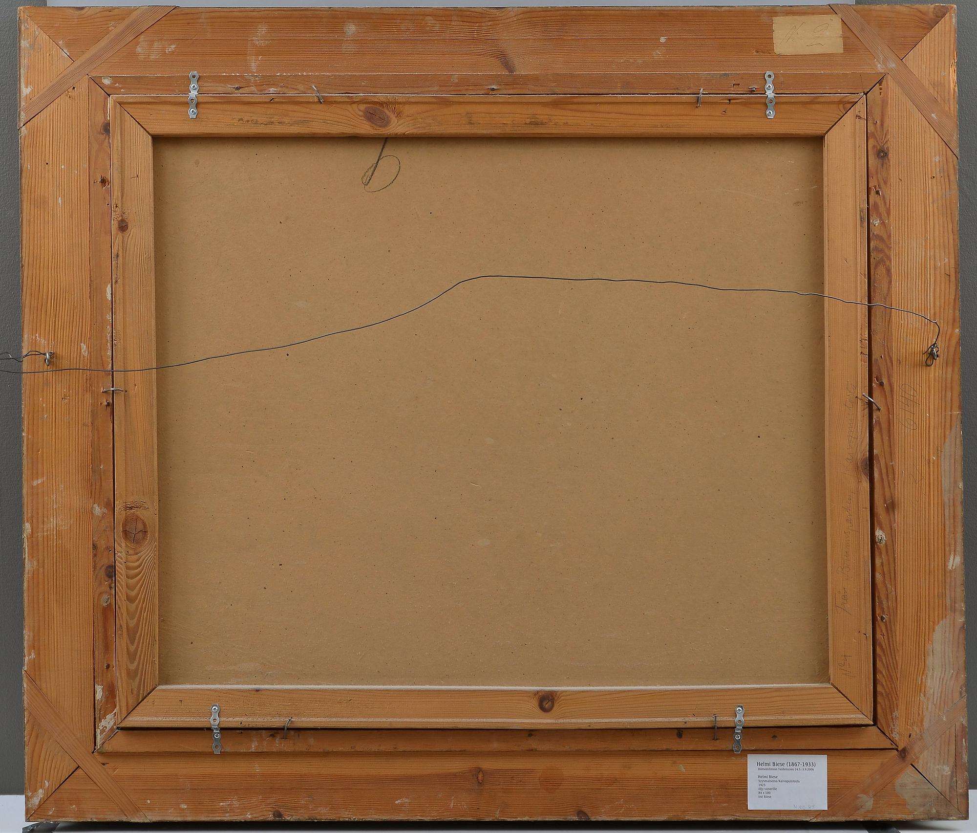 Helmi Biese, VIEW FROM KAIVOPUISTO.