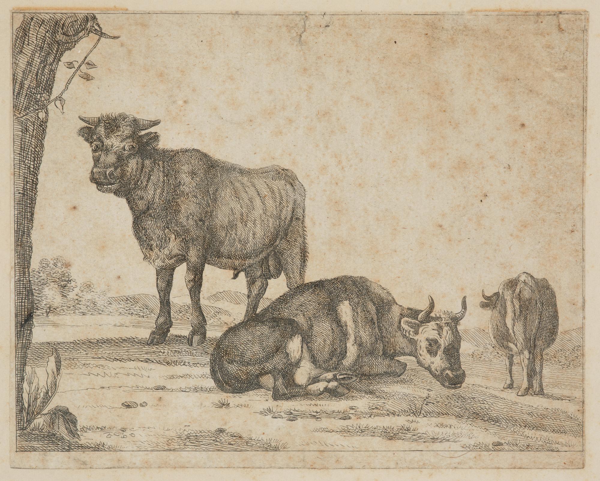 Paulus Potter, tillskriven, Boskap.
