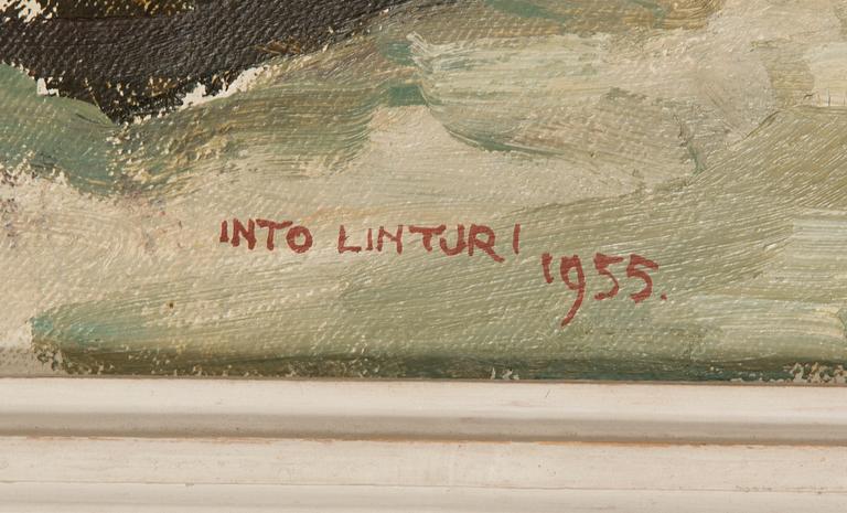 Into Linturi, "Köyliönjärvi".