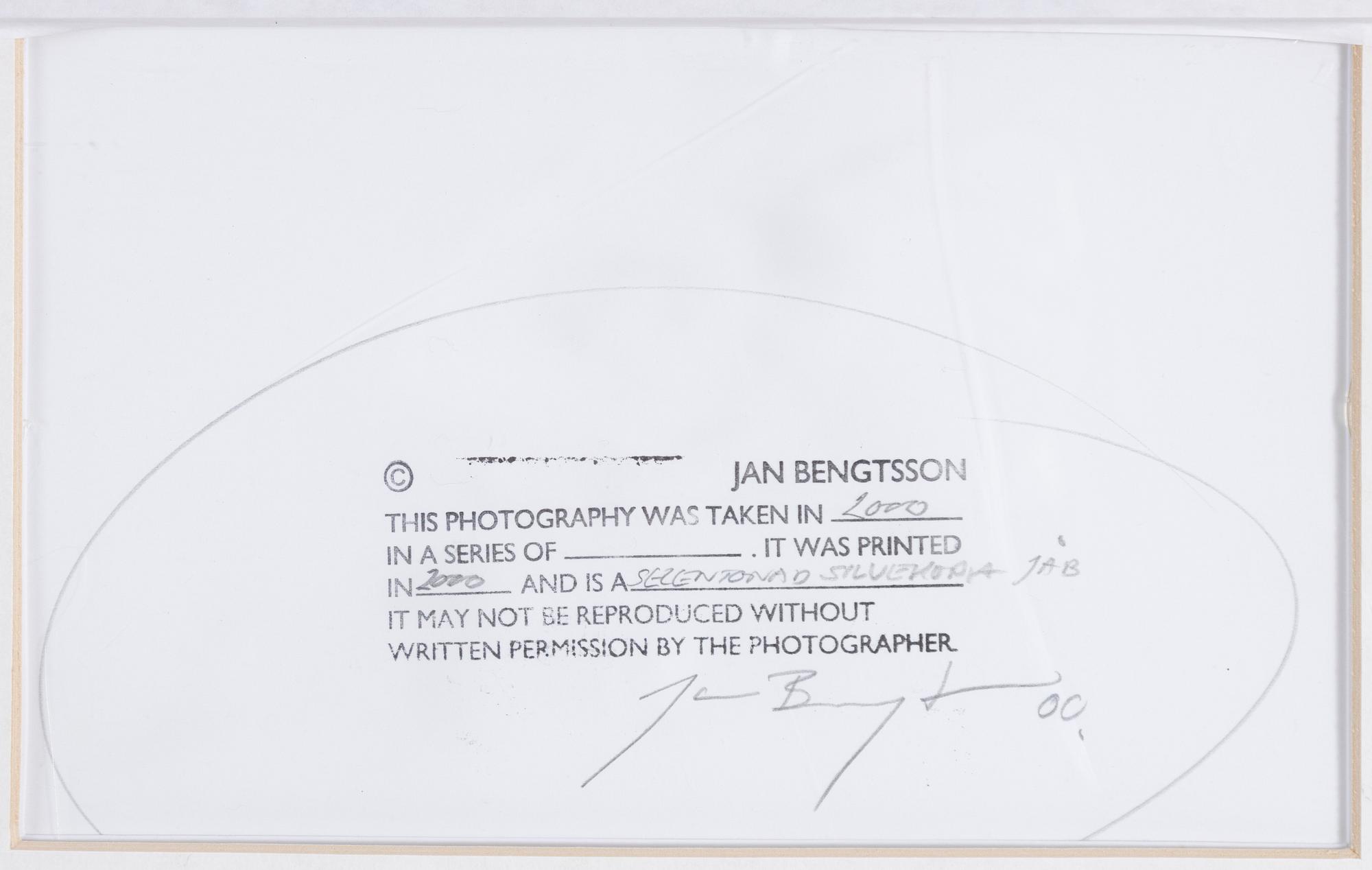 Jan Bengtsson, Portrait in profile.