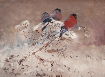 Mosse Stoopendaal, Eurasian bullfinches.