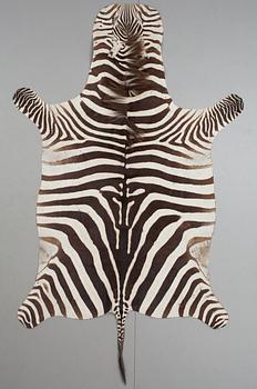 539. An early 20th century zebra skin.