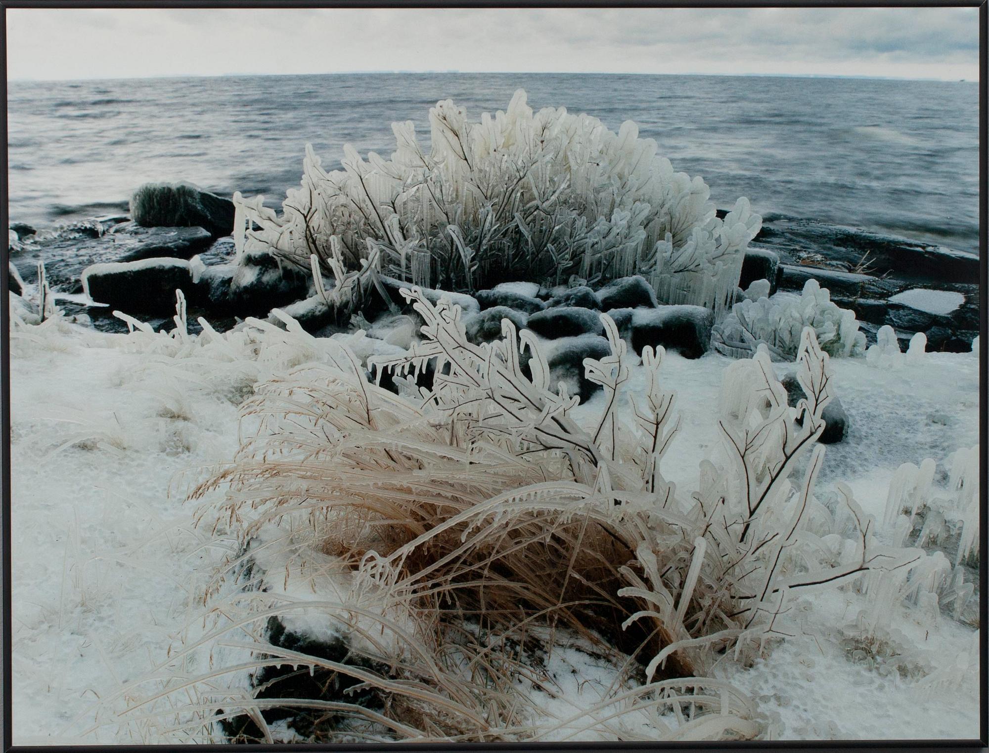 ANDREY BRINTSEV, fotografi, a tergo sign.
