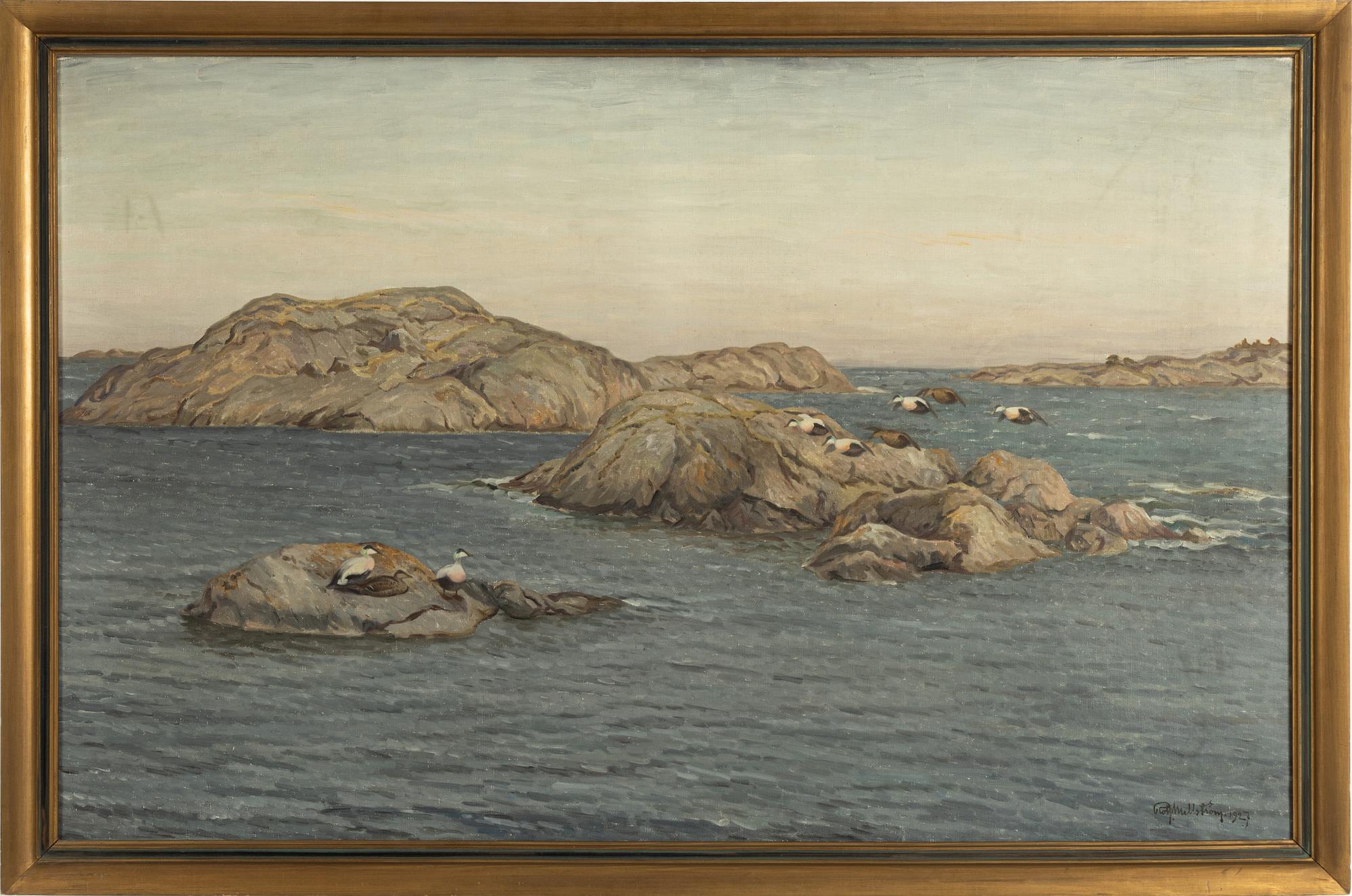 Rolf Mellström, Eiders in the sea band.