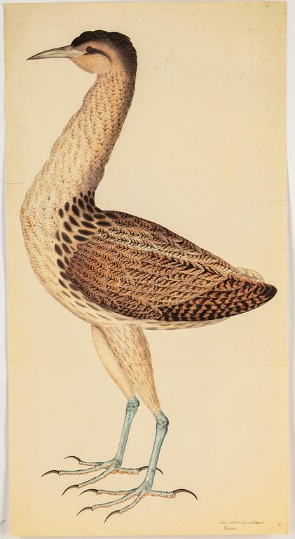 Olof Rudbeck the younger, after, a portfolio and two books, 1985. Numbered 285/1499.