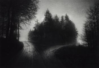 170. Martin Bogren, "Lowlands #07", 2008.