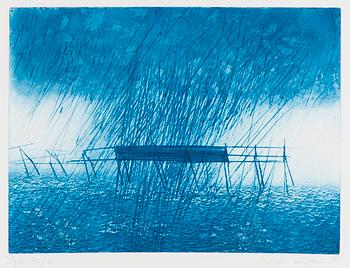 Päivi Lempinen, Havet.