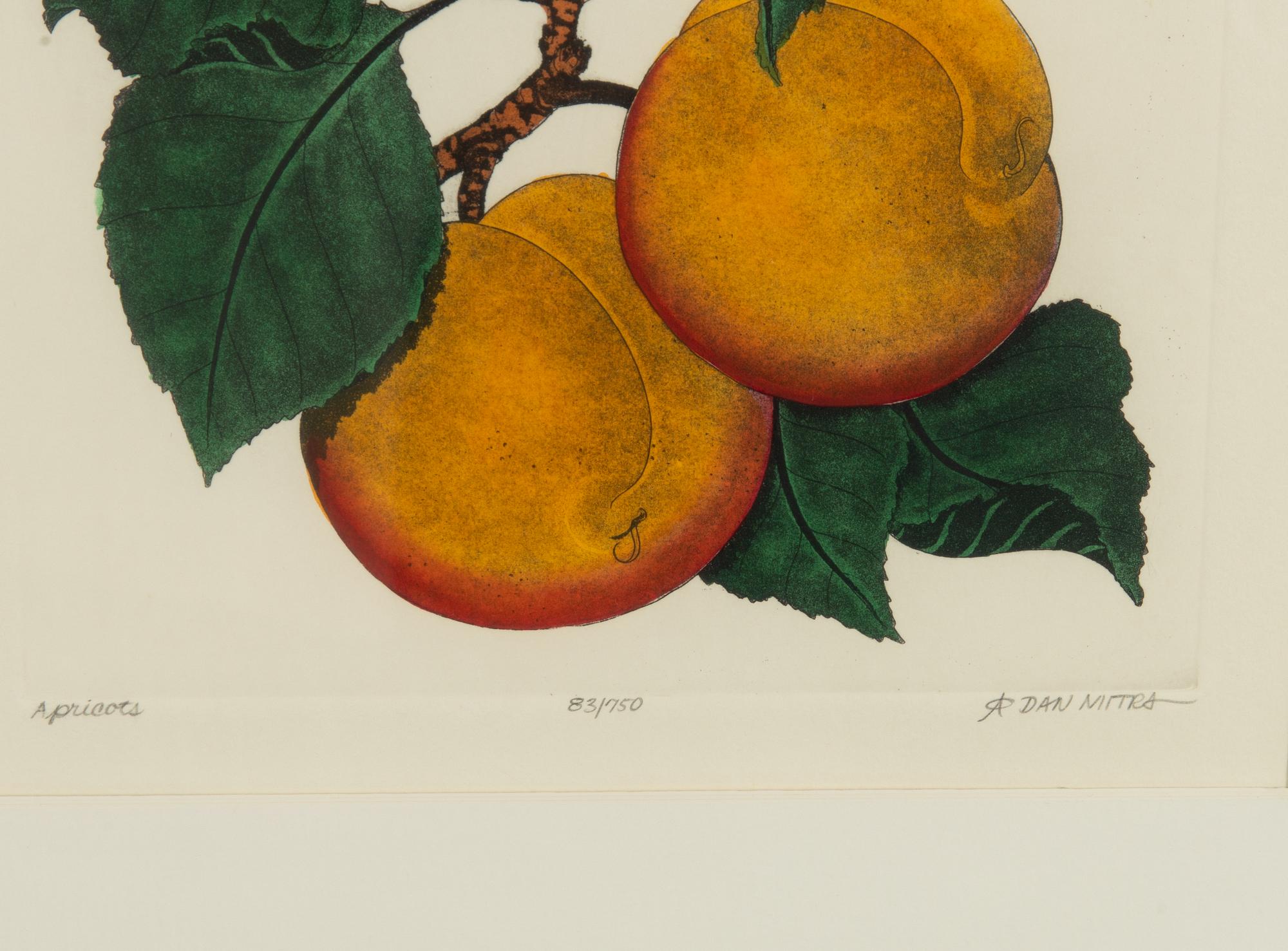 Dan Mitra, a suite of six etchings, framed together.