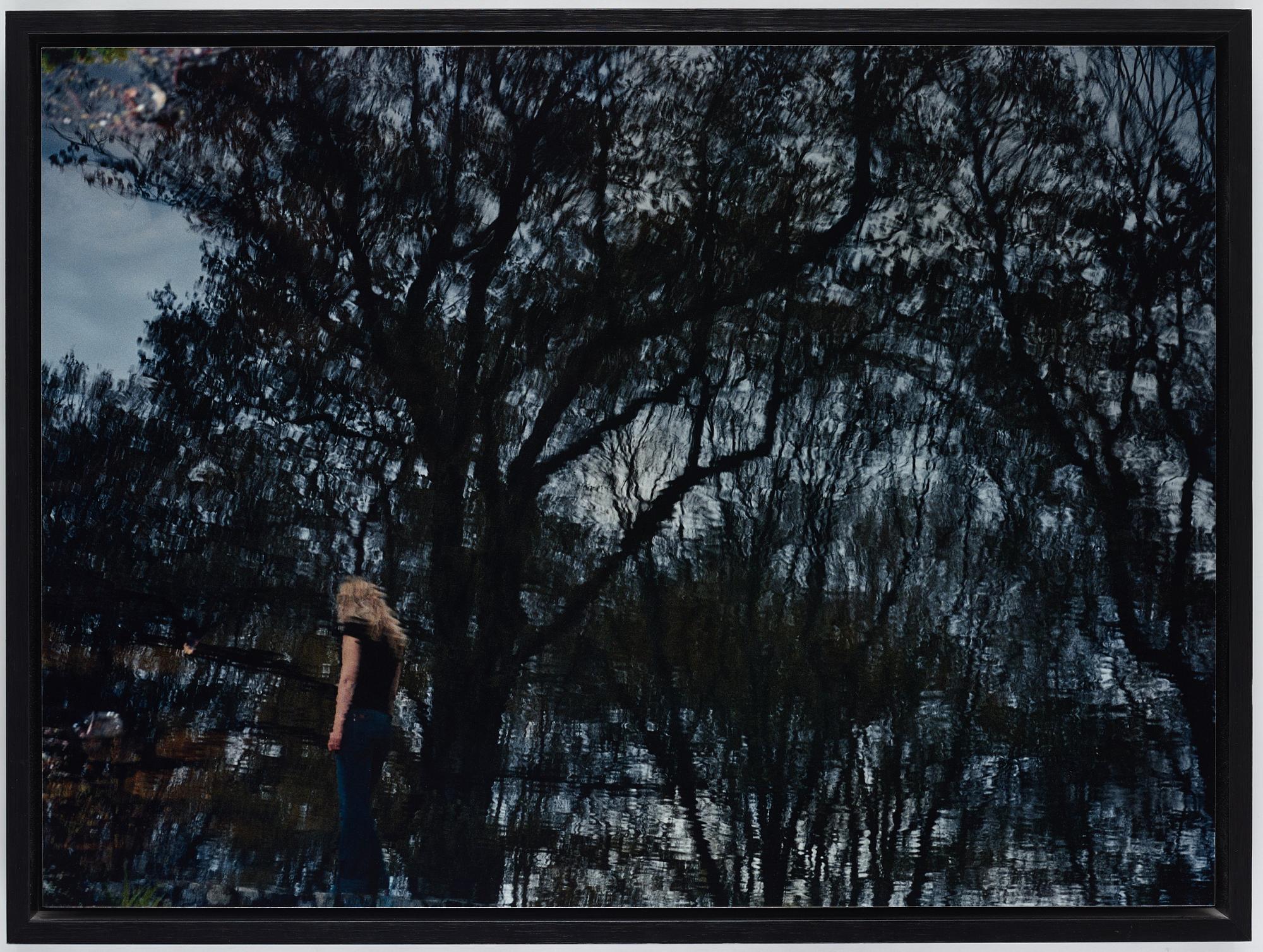 Anneè Olofsson, "Nightfall", 2010.