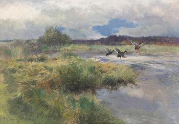 Mosse Stoopendaal, Stretching mallards.