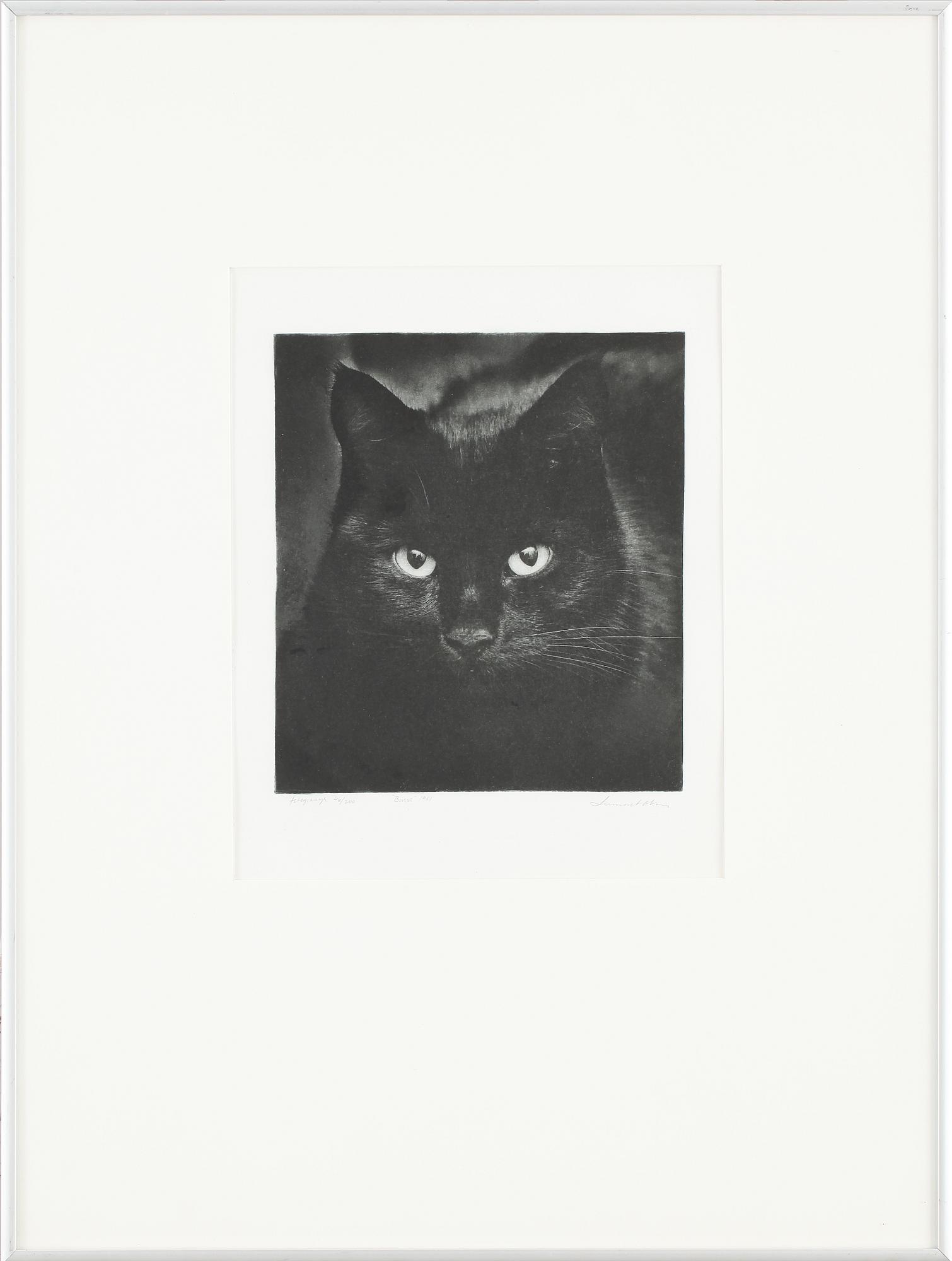 LENNART OLSON, foto, sign, nr 46/200 o dat 1981.