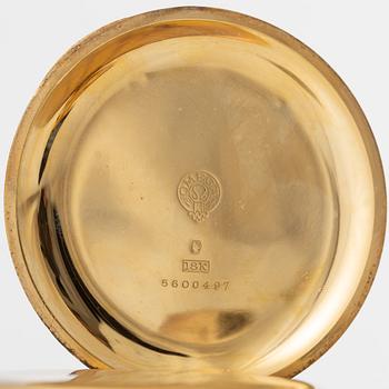 Omega, fickur, 51 mm.