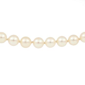 PÄRLCOLLIER, odlade pärlor med 18K guldlås. Vikt  51,5 g.