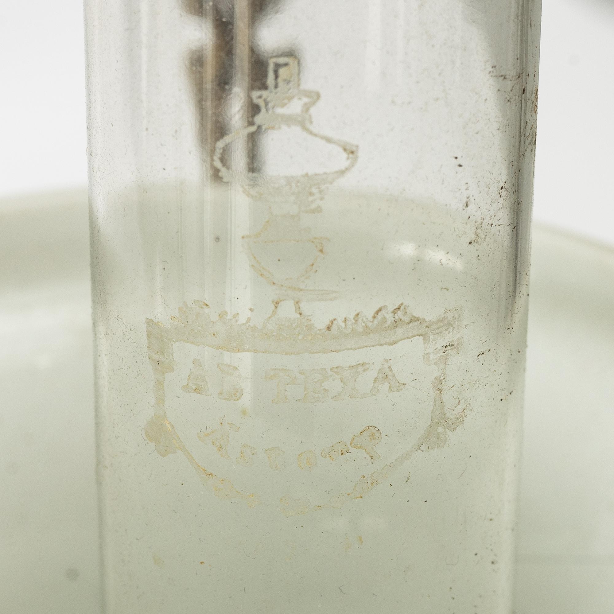 Takfotogenlampa, jugend, omkring 1900.