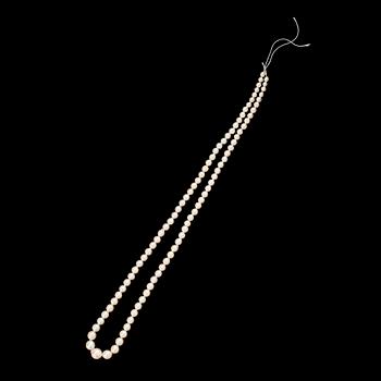 PÄRLCOLLIER, odlade pärlor.