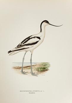 BÖCKER, 3 volymer, "Svenska Fåglar", M. W. & F. von Wright, Förlaget Svenska Fåglar, Stockholm, 1927-29,