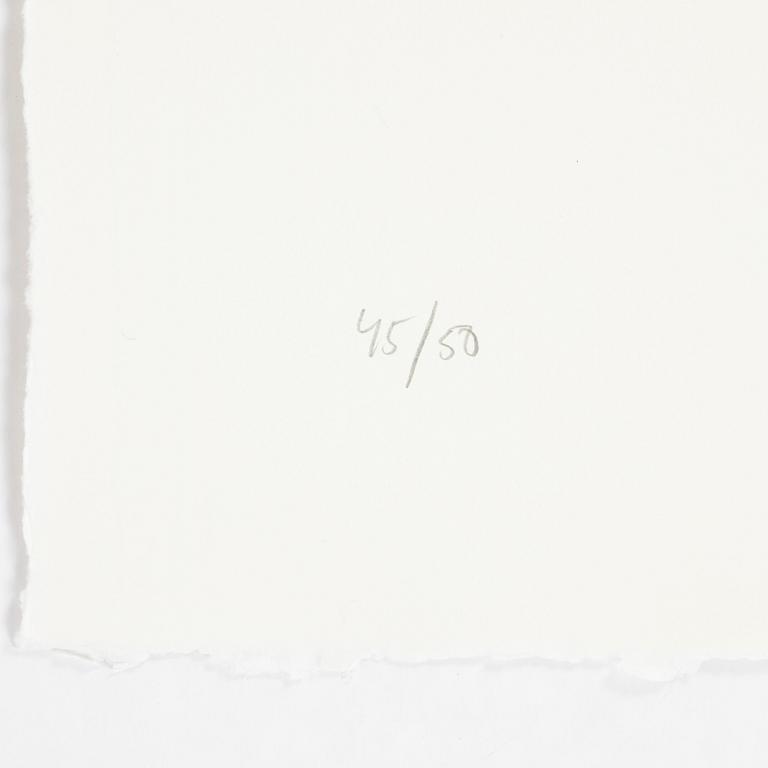 Jan Håfström, etching in colours, 2020, signed 45/50.