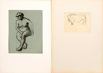 Tora Vega Holmström, two studies.