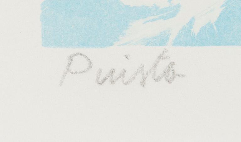 Kristian Krokfors, Puisto.