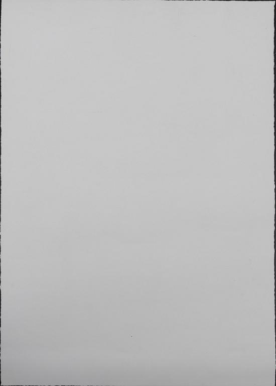 Mr Brainwash (Thierry Guetta), Mr Brainwash, "Obama Superman".