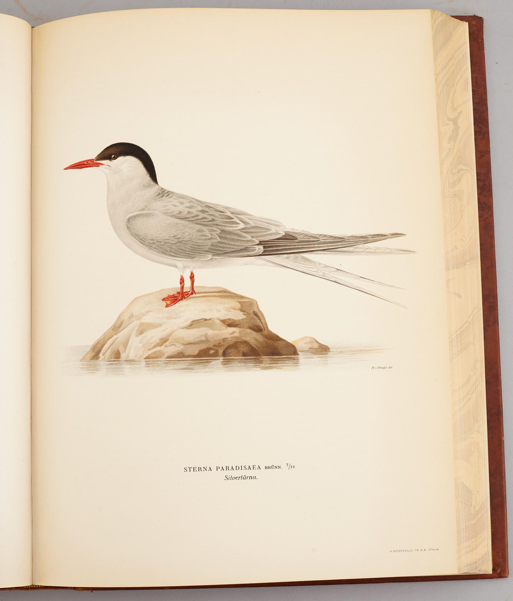 A set of three books about Swedish birds by von Wright. 1927.