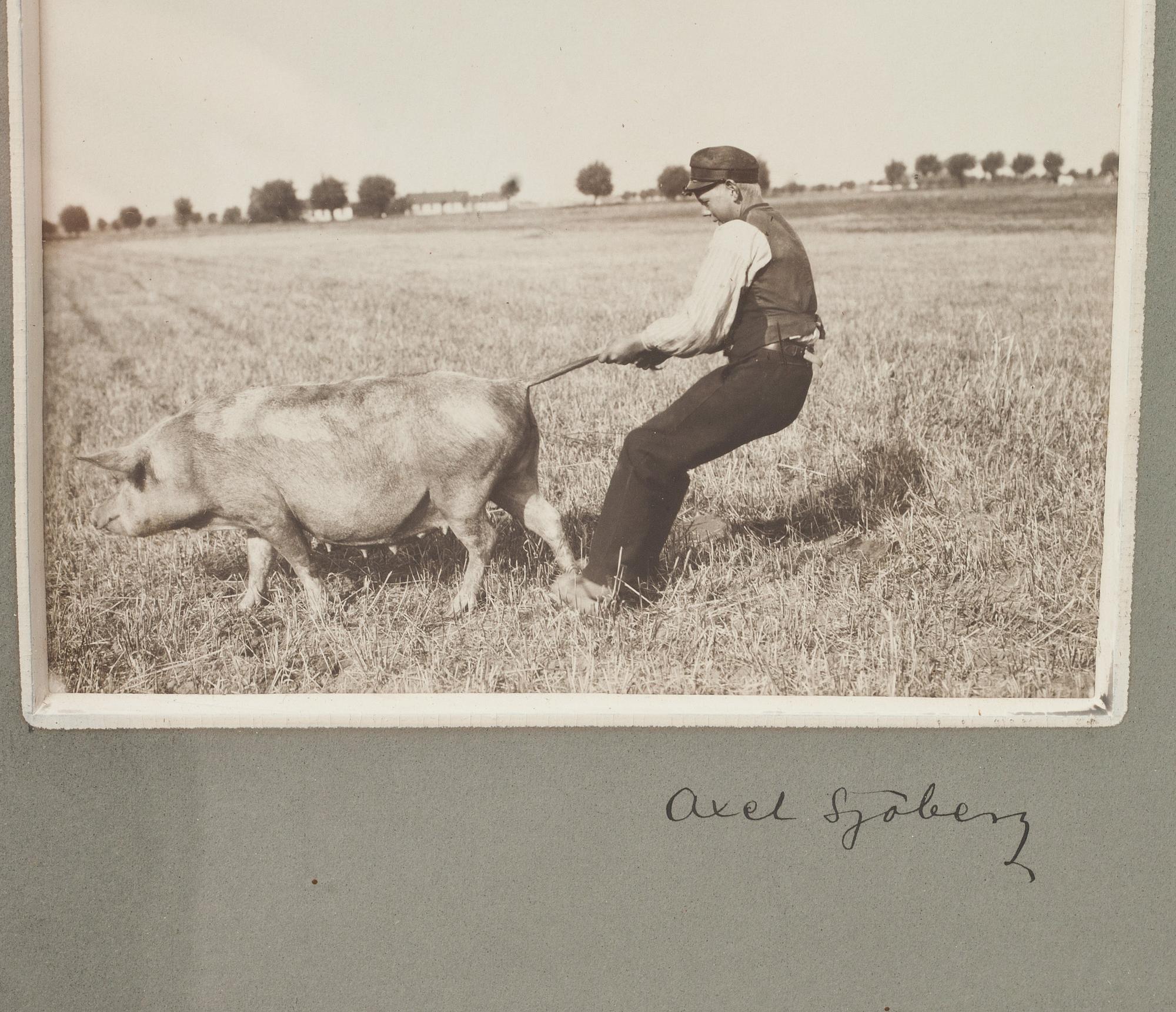 FOTOCOLLAGE, 2 st. Signerade  Axel Sjöberg. Omkring 1900.
