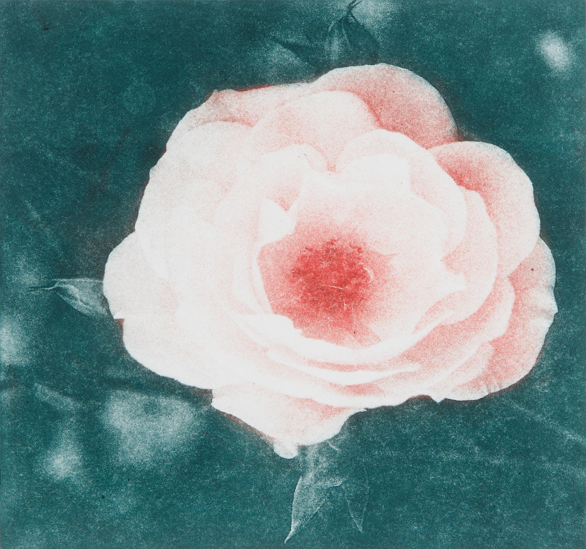 Melek Mazici, Untitled.