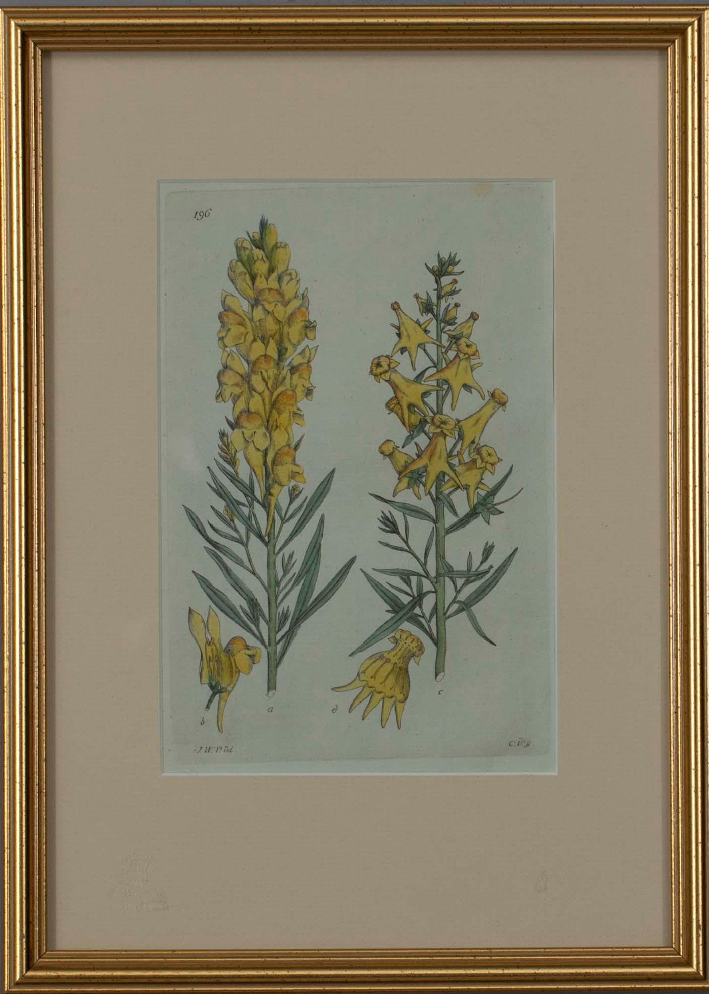 JOHAN WILHELM PALMSTRUCH, 4 st, handkolorerade kopparstick. 1800-talets början.